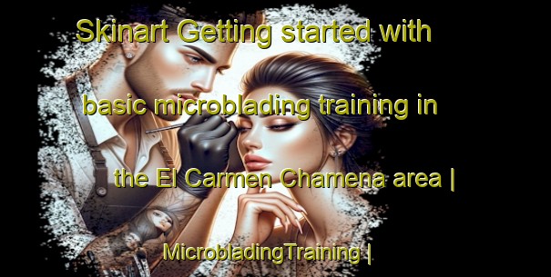 Skinart Getting started with basic microblading training in the El Carmen Chamena area | MicrobladingTraining | MicrobladingClasses | SkinartTraining-Mexico